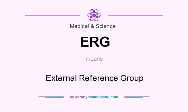 What does ERG mean? It stands for External Reference Group