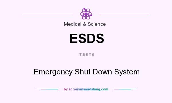 What does ESDS mean? It stands for Emergency Shut Down System
