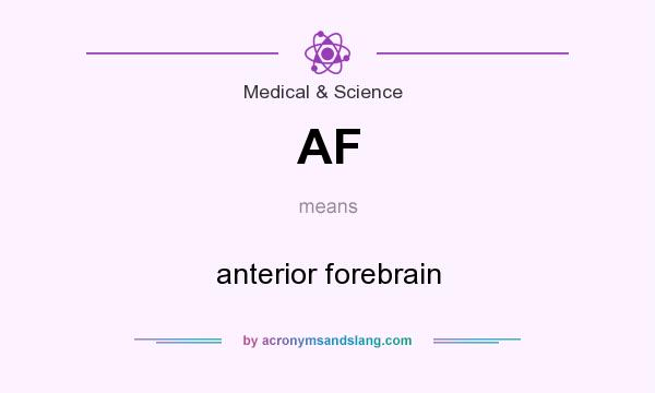 What does AF mean? It stands for anterior forebrain