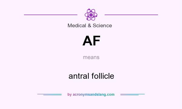What does AF mean? It stands for antral follicle