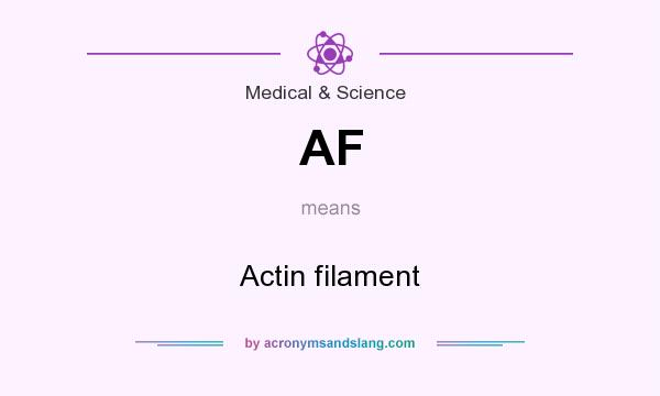 What does AF mean? It stands for Actin filament
