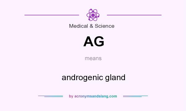 What does AG mean? It stands for androgenic gland