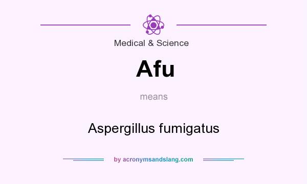 What does Afu mean? It stands for Aspergillus fumigatus