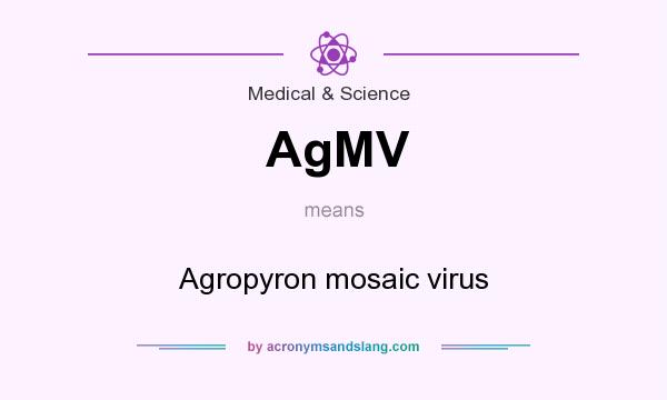 What does AgMV mean? It stands for Agropyron mosaic virus