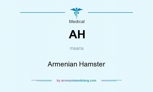 What does AH mean? It stands for Armenian Hamster
