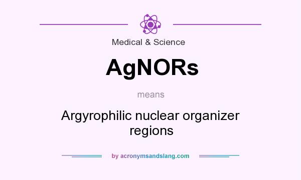 What does AgNORs mean? It stands for Argyrophilic nuclear organizer regions