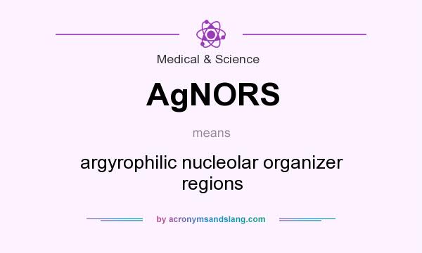 What does AgNORS mean? It stands for argyrophilic nucleolar organizer regions