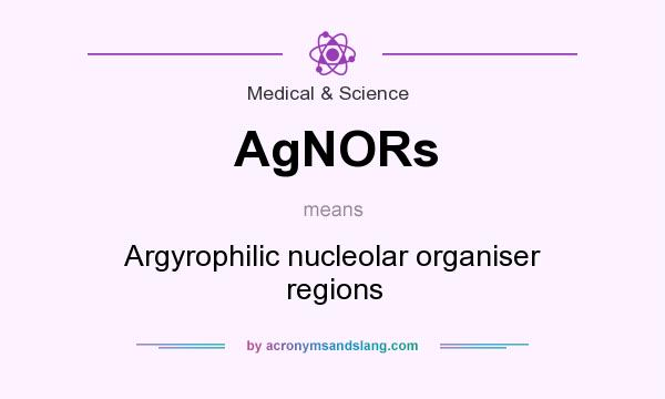 What does AgNORs mean? It stands for Argyrophilic nucleolar organiser regions