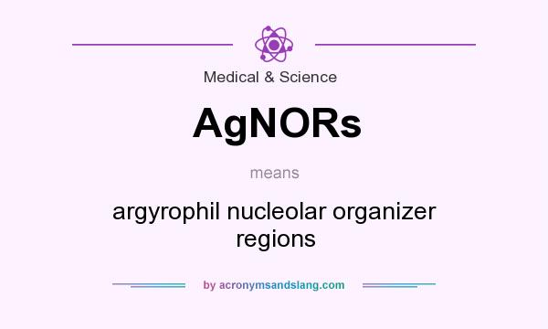 What does AgNORs mean? It stands for argyrophil nucleolar organizer regions
