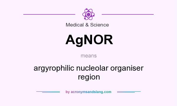 What does AgNOR mean? It stands for argyrophilic nucleolar organiser region