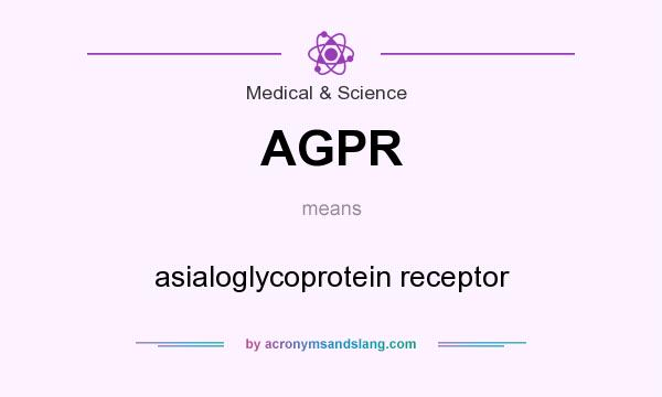 What does AGPR mean? It stands for asialoglycoprotein receptor