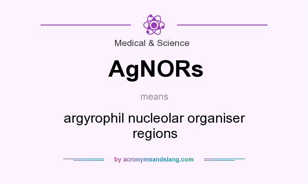 What does AgNORs mean? It stands for argyrophil nucleolar organiser regions