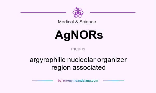 What does AgNORs mean? It stands for argyrophilic nucleolar organizer region associated