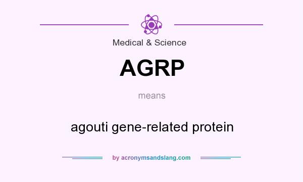 What does AGRP mean? It stands for agouti gene-related protein