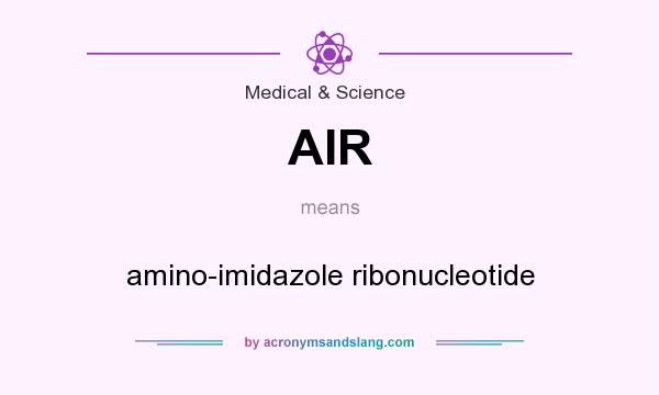 What does AIR mean? It stands for amino-imidazole ribonucleotide