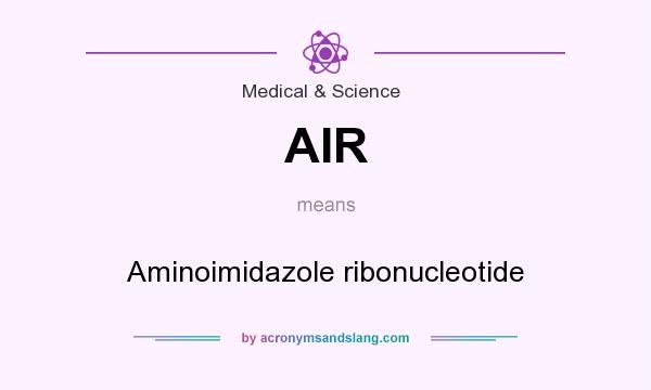 What does AIR mean? It stands for Aminoimidazole ribonucleotide