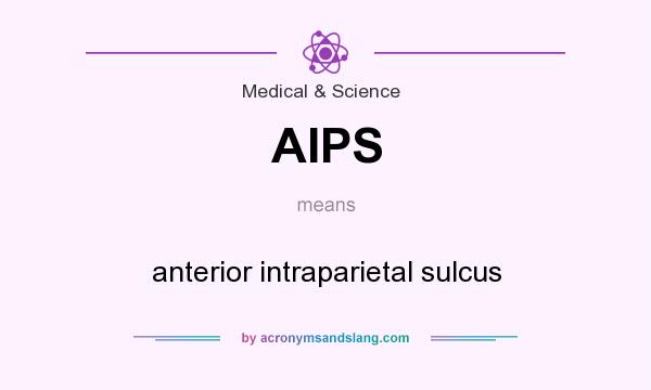 What does AIPS mean? It stands for anterior intraparietal sulcus