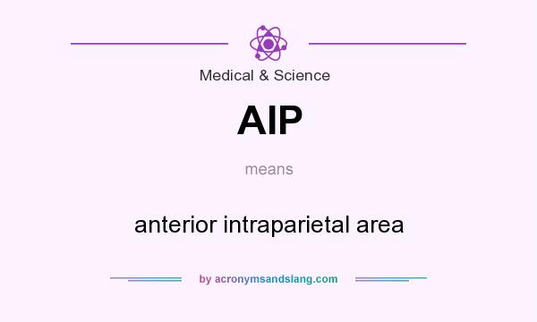 What does AIP mean? It stands for anterior intraparietal area
