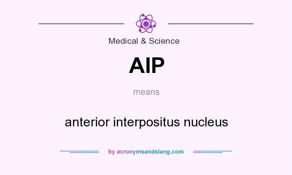What does AIP mean? It stands for anterior interpositus nucleus