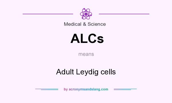 What does ALCs mean? It stands for Adult Leydig cells