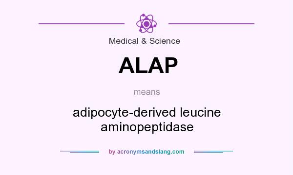 What does ALAP mean? It stands for adipocyte-derived leucine aminopeptidase