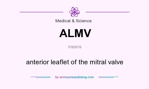 What does ALMV mean? It stands for anterior leaflet of the mitral valve