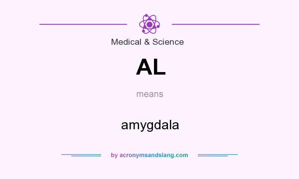 What does AL mean? It stands for amygdala