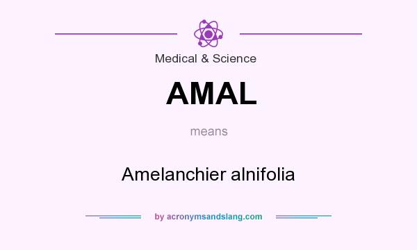 What does AMAL mean? It stands for Amelanchier alnifolia