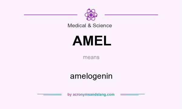 What does AMEL mean? It stands for amelogenin