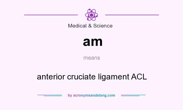 What does am mean? It stands for anterior cruciate ligament ACL