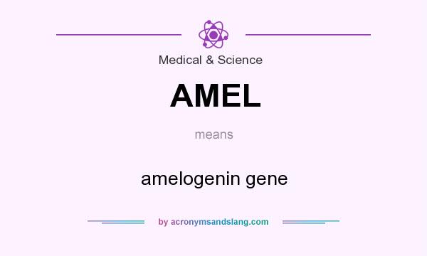 What does AMEL mean? It stands for amelogenin gene