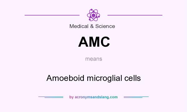 What does AMC mean? It stands for Amoeboid microglial cells