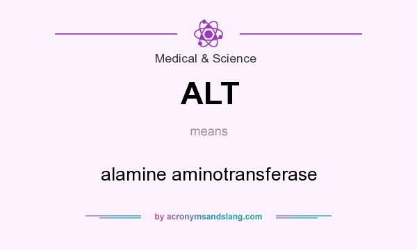 What does ALT mean? It stands for alamine aminotransferase