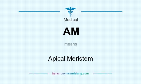 What does AM mean? It stands for Apical Meristem