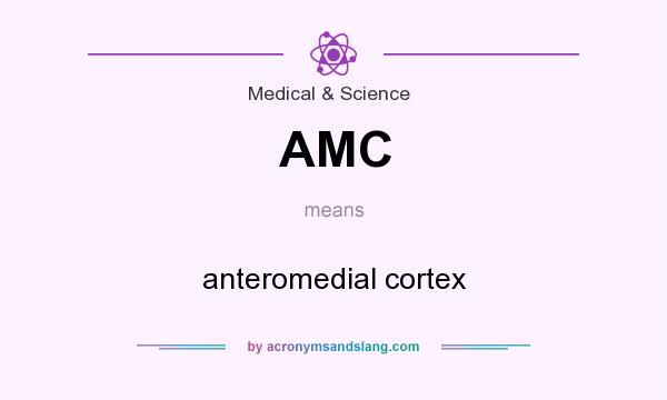 What does AMC mean? It stands for anteromedial cortex
