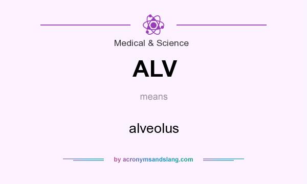 What does ALV mean? It stands for alveolus