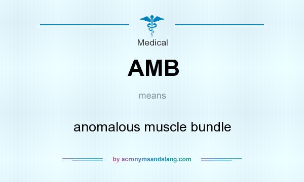 What does AMB mean? It stands for anomalous muscle bundle