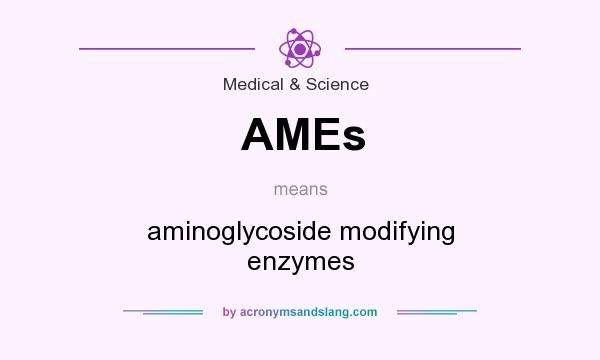 What does AMEs mean? It stands for aminoglycoside modifying enzymes