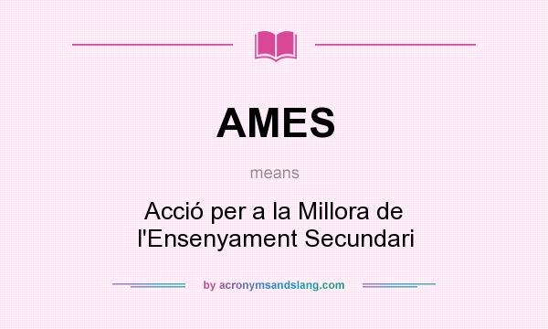What does AMES mean? It stands for Acció per a la Millora de l`Ensenyament Secundari