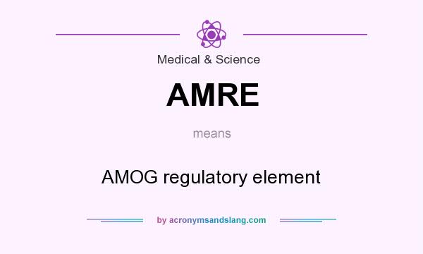 What does AMRE mean? It stands for AMOG regulatory element