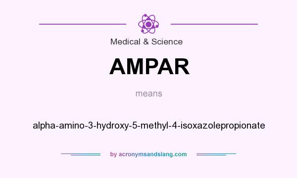 What does AMPAR mean? It stands for alpha-amino-3-hydroxy-5-methyl-4-isoxazolepropionate
