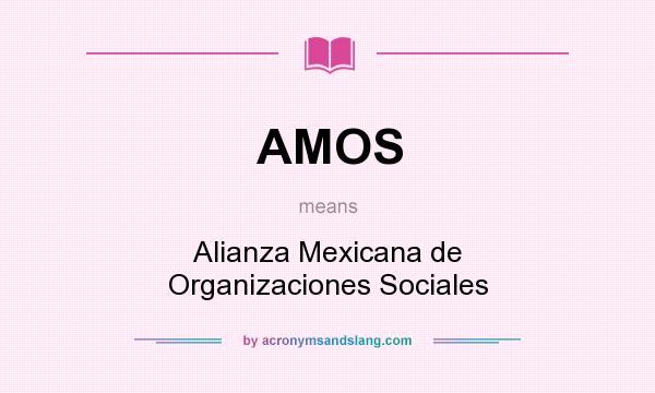 What does AMOS mean? It stands for Alianza Mexicana de Organizaciones Sociales