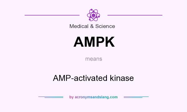 What does AMPK mean? It stands for AMP-activated kinase