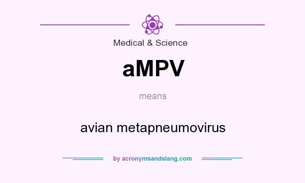 What does aMPV mean? It stands for avian metapneumovirus