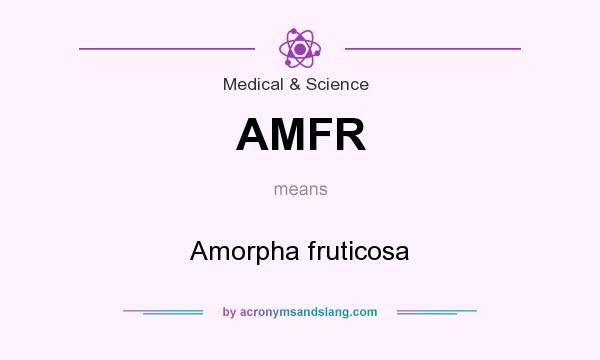 What does AMFR mean? It stands for Amorpha fruticosa