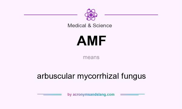 What does AMF mean? It stands for arbuscular mycorrhizal fungus