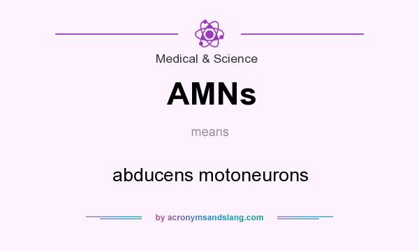 What does AMNs mean? It stands for abducens motoneurons