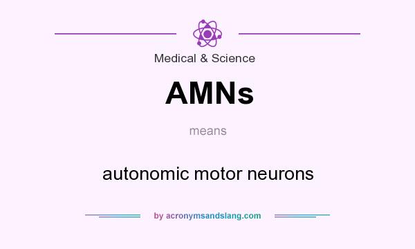 What does AMNs mean? It stands for autonomic motor neurons
