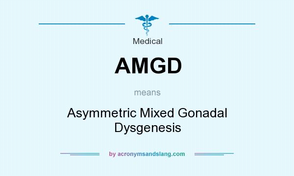 What does AMGD mean? It stands for Asymmetric Mixed Gonadal Dysgenesis