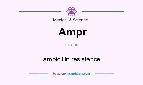 What does Ampr mean? It stands for ampicillin resistance